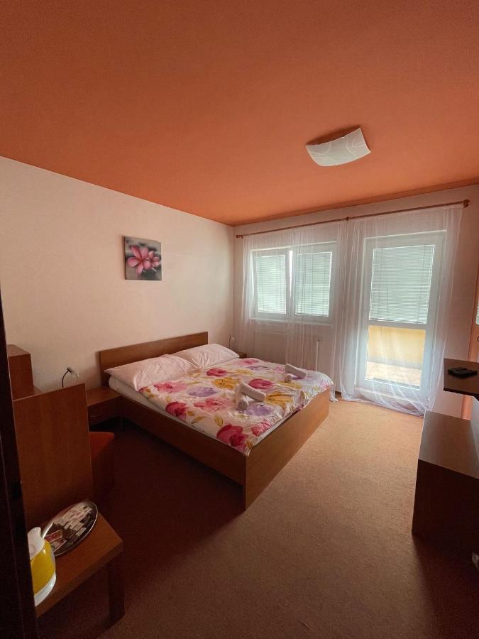 Apartmany, Penzion, Wellness U Zlate Rybky Hotel Vyskov
