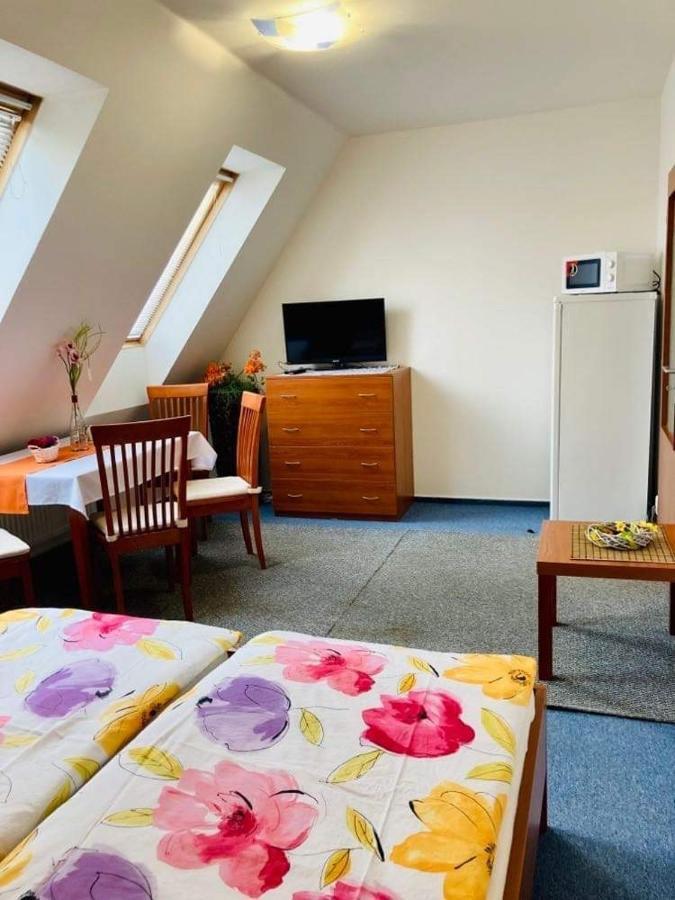 Hotel Apartmany, Penzion, Wellness U Zlate Rybky