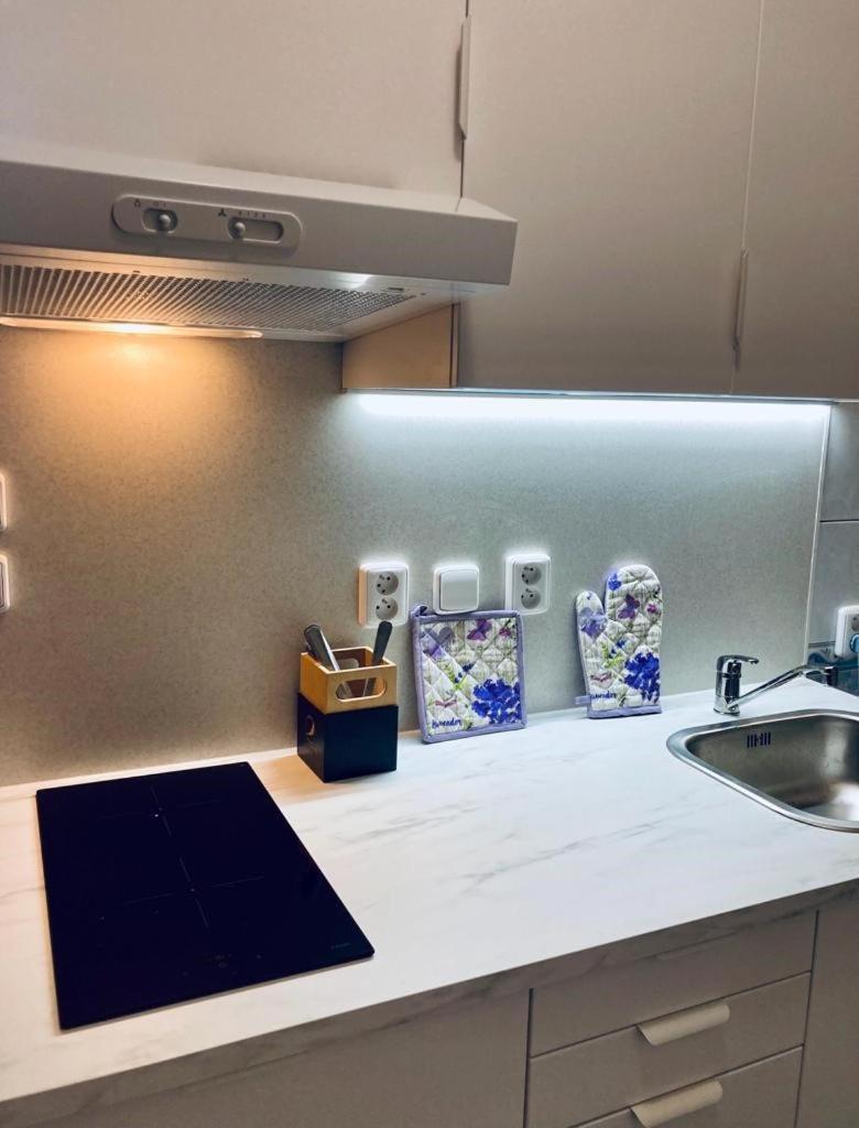 Apartmany, Penzion, Wellness U Zlate Rybky Hotel 3*