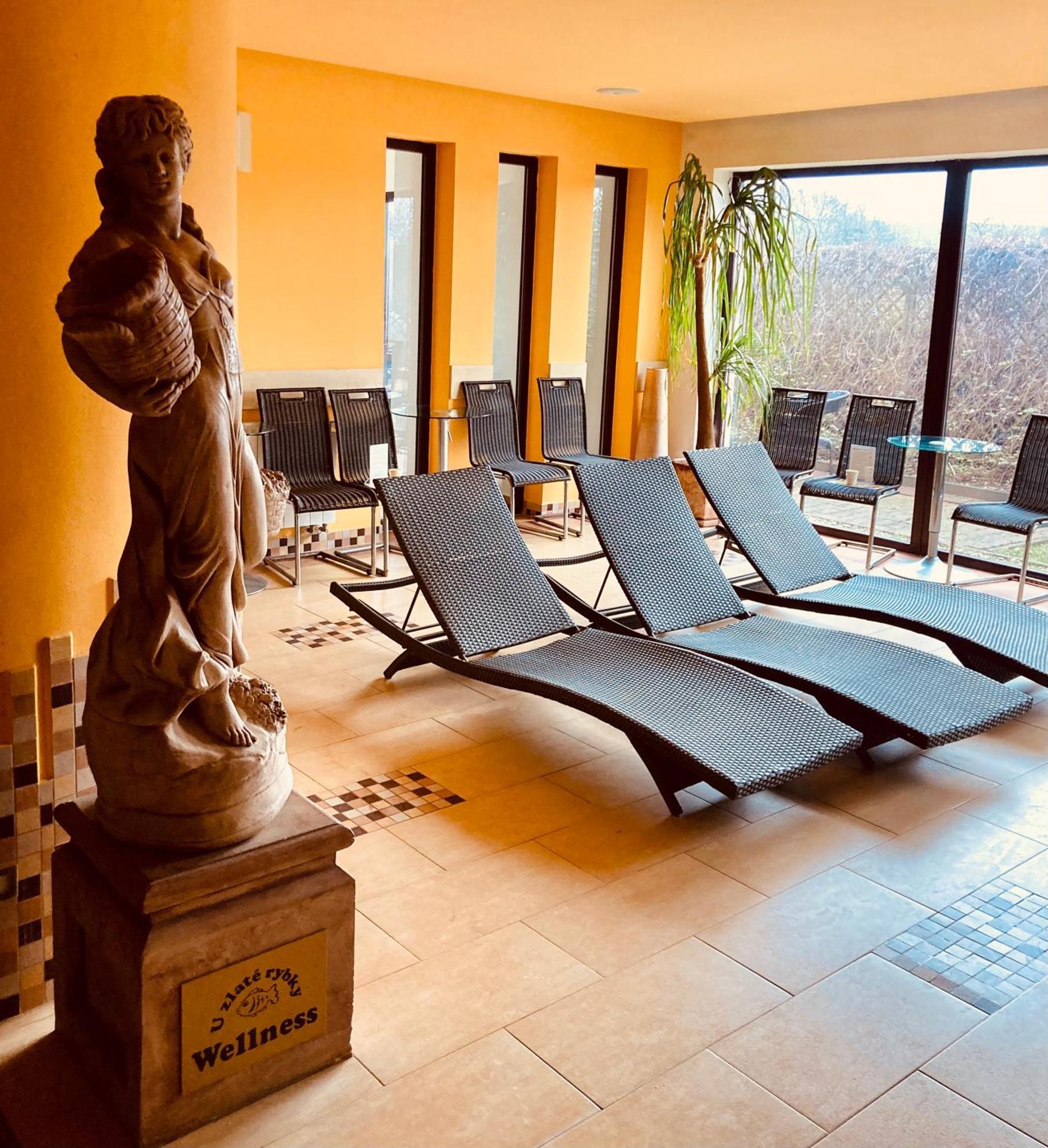 Apartmany, Penzion, Wellness U Zlate Rybky 3* Vyskov