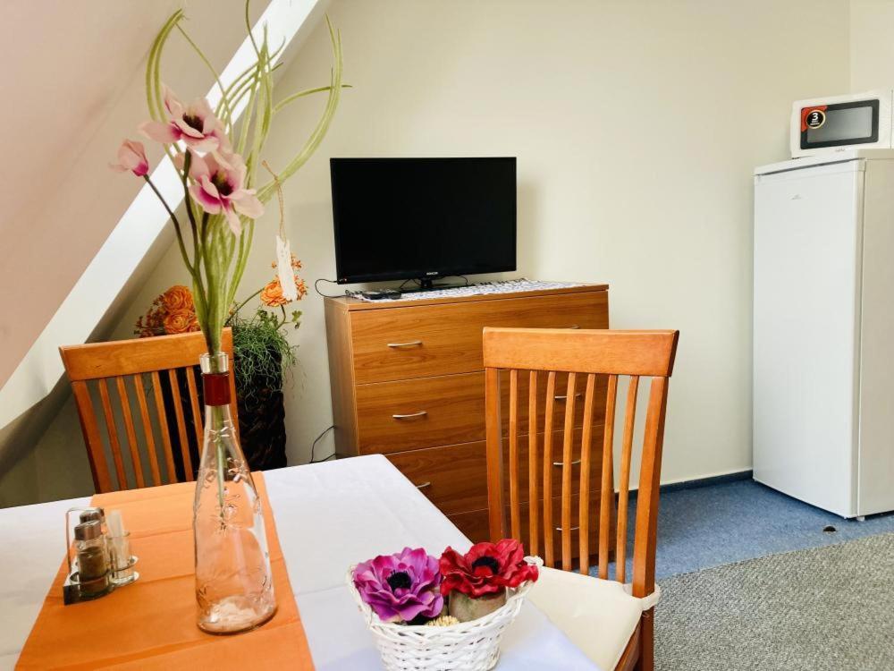 Hotel Apartmany, Penzion, Wellness U Zlate Rybky Vyskov