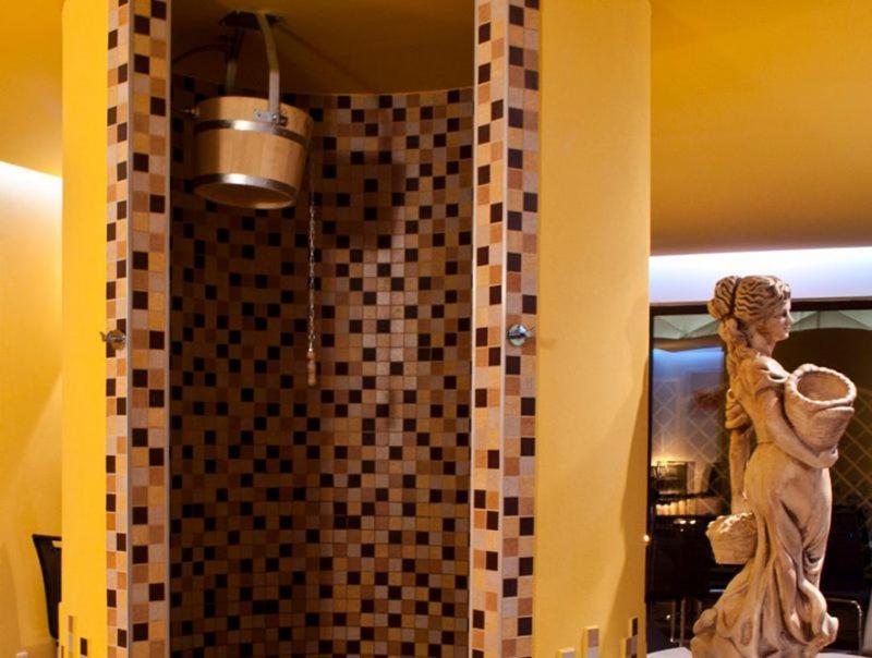 Apartmany, Penzion, Wellness U Zlate Rybky 3* Vyskov